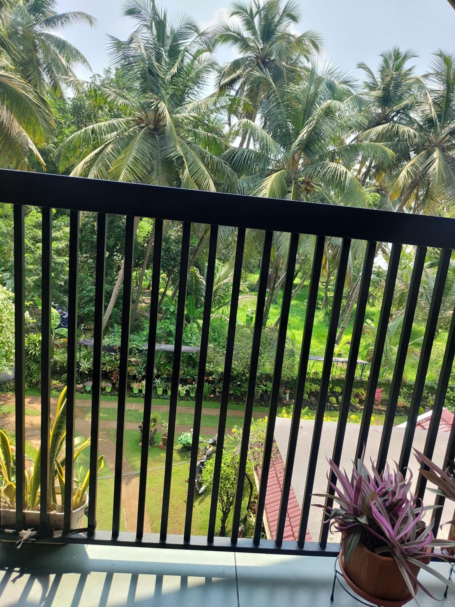 Maleyam Homestay Riverside Kozhikode Exterior foto